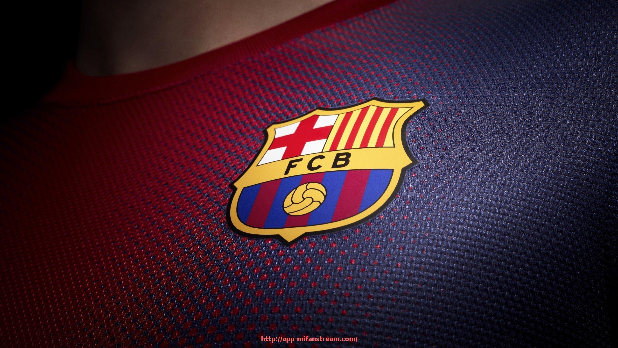 秘饭直播-健身器材名称大全及各类训练目标系统说明